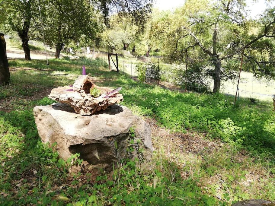 Casa Rural Alicia Cortegana Dış mekan fotoğraf
