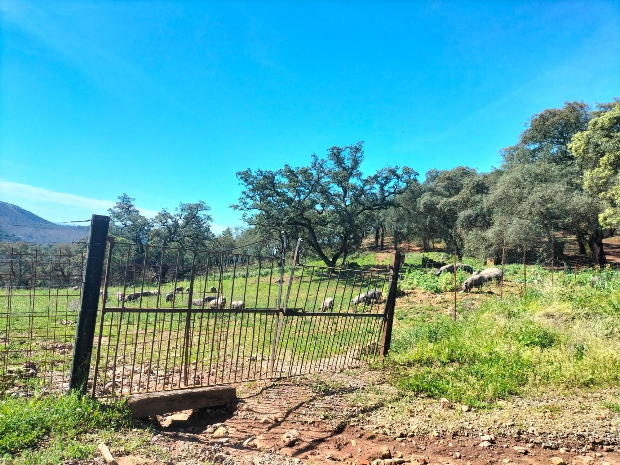 Casa Rural Alicia Cortegana Dış mekan fotoğraf